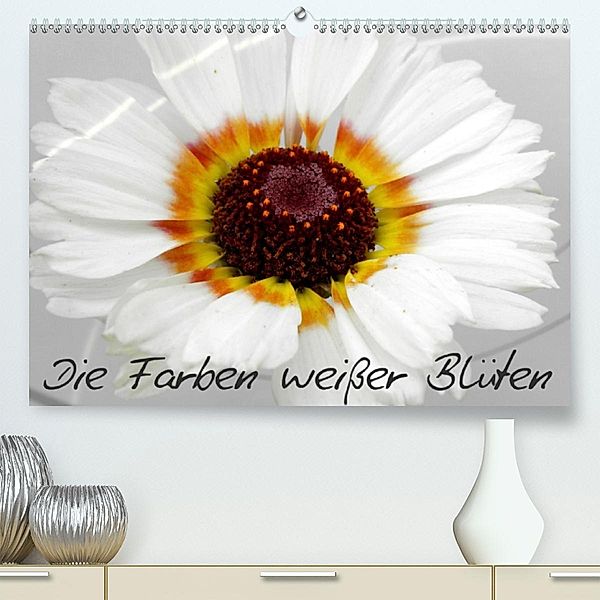 Die Farben weißer Blüten(Premium, hochwertiger DIN A2 Wandkalender 2020, Kunstdruck in Hochglanz), Birgit Knodt