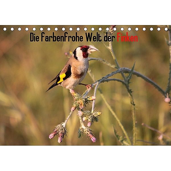 Die farbenfrohe Welt der Finken (Tischkalender 2020 DIN A5 quer), Winfried Erlwein