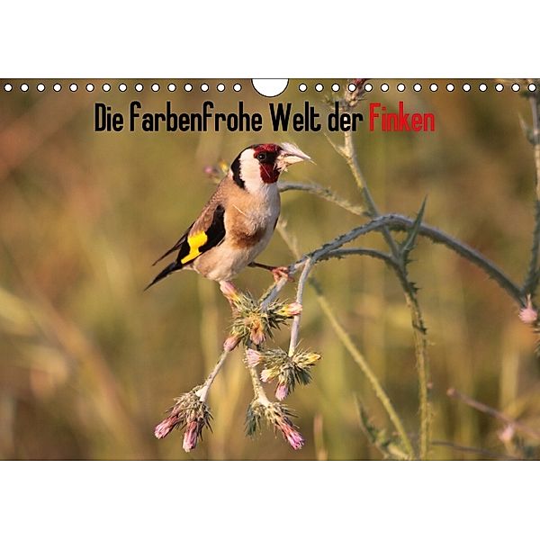 Die farbenfrohe Welt der Finken (Wandkalender 2018 DIN A4 quer) Dieser erfolgreiche Kalender wurde dieses Jahr mit gleic, Winfried Erlwein