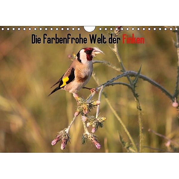 Die farbenfrohe Welt der Finken (Wandkalender 2019 DIN A4 quer), Winfried Erlwein