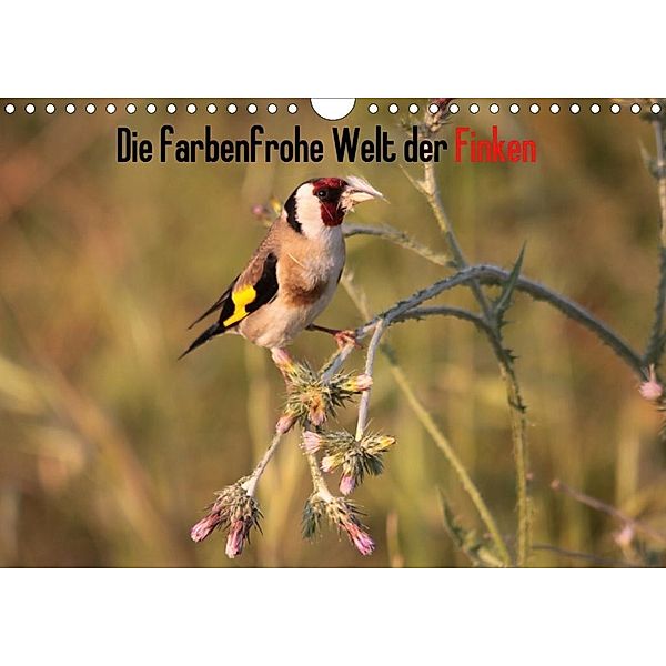 Die farbenfrohe Welt der Finken (Wandkalender 2020 DIN A4 quer), Winfried Erlwein