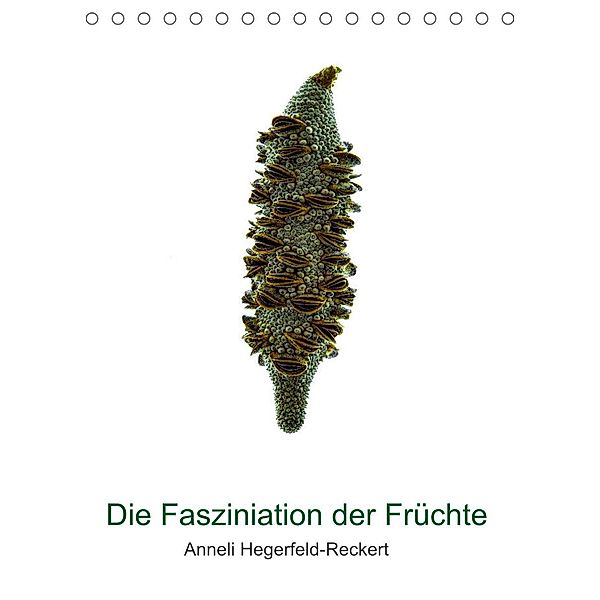 Die Faszination der Früchte (Tischkalender 2023 DIN A5 hoch), Anneli Hegerfeld-Reckert