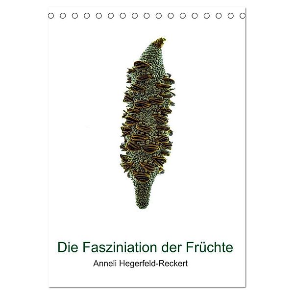 Die Faszination der Früchte (Tischkalender 2024 DIN A5 hoch), CALVENDO Monatskalender, Anneli Hegerfeld-Reckert