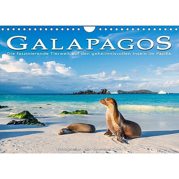 Die faszinierende Tierwelt der Galapagos-Inseln (Wandkalender 2023 DIN A4 quer), Guenter Guni