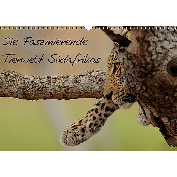 Die Faszinierende Tierwelt Südafrikas (Wandkalender 2014 DIN A3 quer), Christian Schmalhofer
