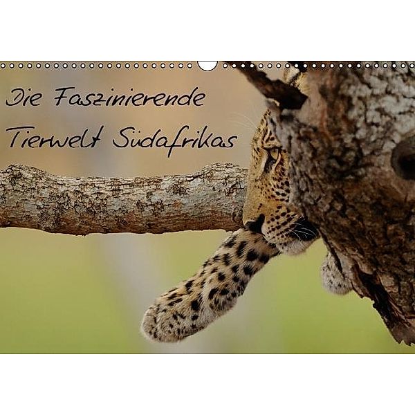 Die Faszinierende Tierwelt Südafrikas (Wandkalender 2016 DIN A3 quer), Christian Schmalhofer