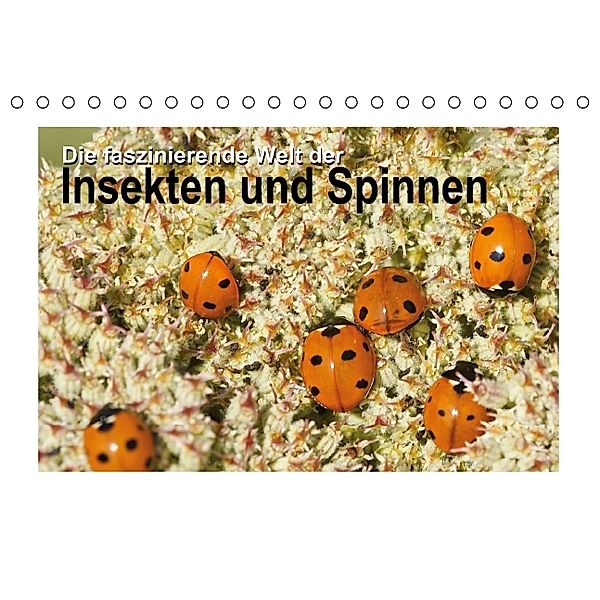 Die faszinierende Welt der Insekten und Spinnen (Tischkalender 2014 DIN A5 quer), CALVENDO