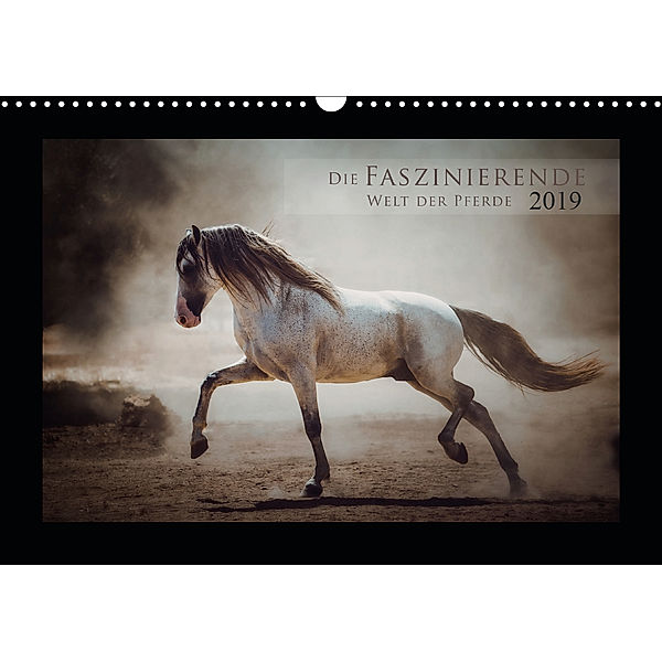 Die Faszinierende Welt der Pferde (Wandkalender 2019 DIN A3 quer), Sabrina Mischnik