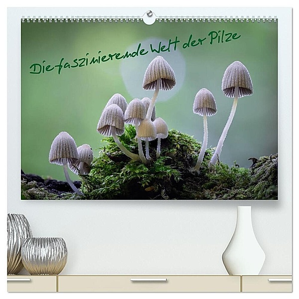 Die faszinierende Welt der Pilze (hochwertiger Premium Wandkalender 2025 DIN A2 quer), Kunstdruck in Hochglanz, Calvendo, Tôn Th_t Qu_nh L_i