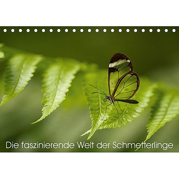 Die faszinierende Welt der Schmetterlinge (Tischkalender 2021 DIN A5 quer), Benjamin Nocke