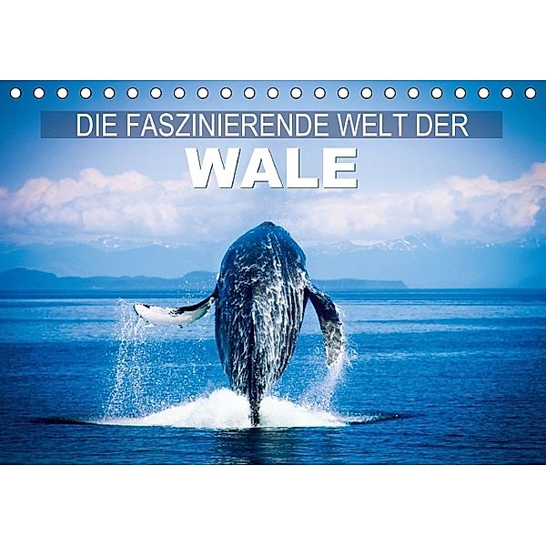 Die faszinierende Welt der Wale (Tischkalender 2014 DIN A5 quer), Calvendo