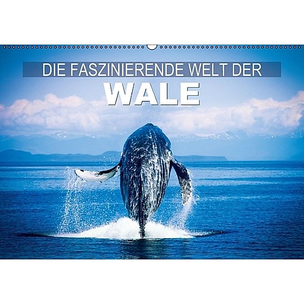 Die faszinierende Welt der Wale (Wandkalender 2014 DIN A2 quer), Calvendo