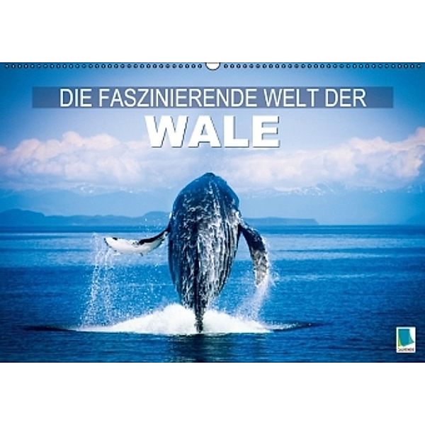 Die faszinierende Welt der Wale (Wandkalender 2015 DIN A2 quer), Calvendo