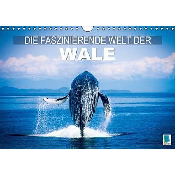 Die faszinierende Welt der Wale (Wandkalender 2016 DIN A4 quer), Calvendo
