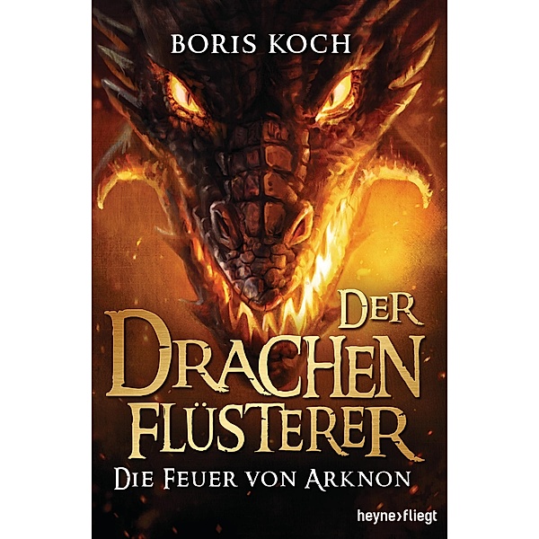 Die Feuer von Arknon / Der Drachenflüsterer Bd.4, Boris Koch