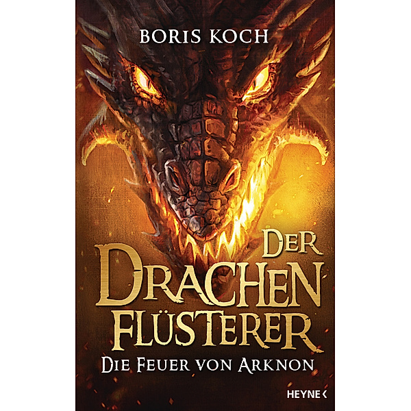 Die Feuer von Arknon / Der Drachenflüsterer Bd.4, Boris Koch