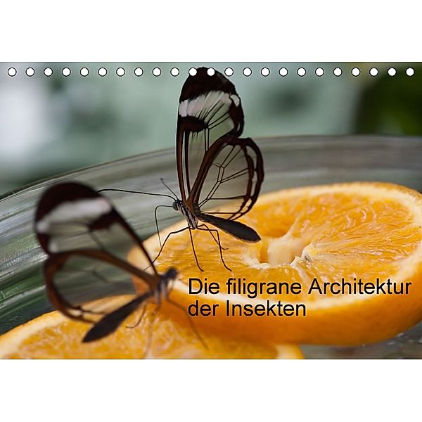 Die filigrane Architektur der Insekten (Tischkalender 2018 DIN A5 quer), docskh