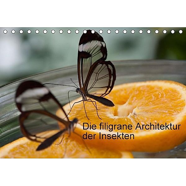 Die filigrane Architektur der Insekten (Tischkalender 2017 DIN A5 quer), k.A. DOCSKH