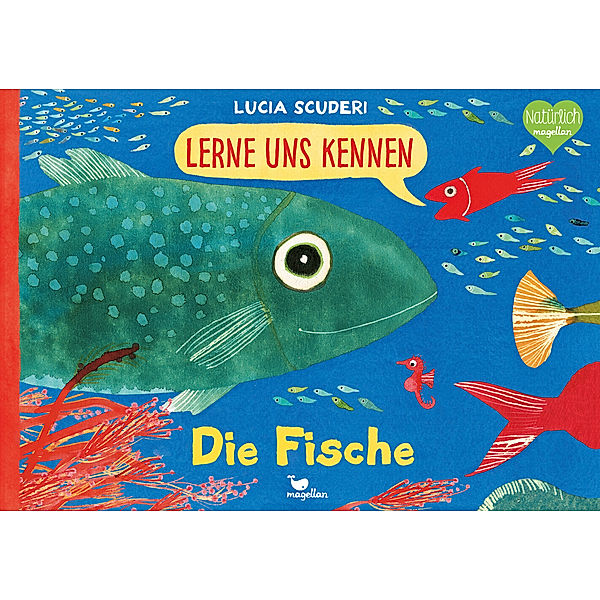 Die Fische / Lerne uns kennen Bd.1, Lucia Scuderi