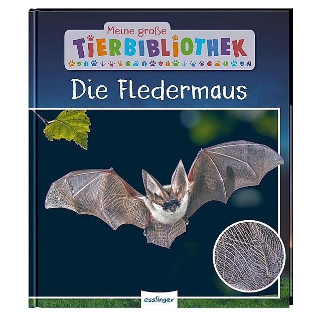 Die Fledermaus Meine große Tierbibliothek Bd.8 kaufen