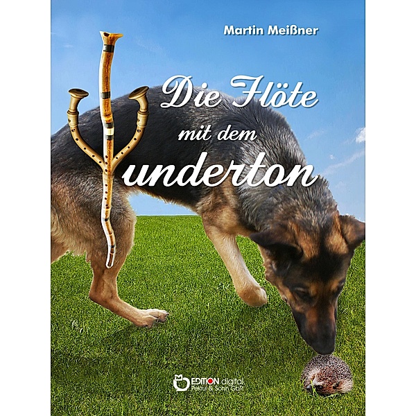 Die Flöte mit dem Wunderton, Martin Meissner