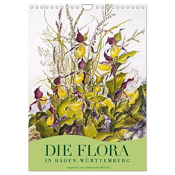Die Flora in Baden-Württemberg (Wandkalender 2024 DIN A4 hoch), CALVENDO Monatskalender, Annemarie Meindl