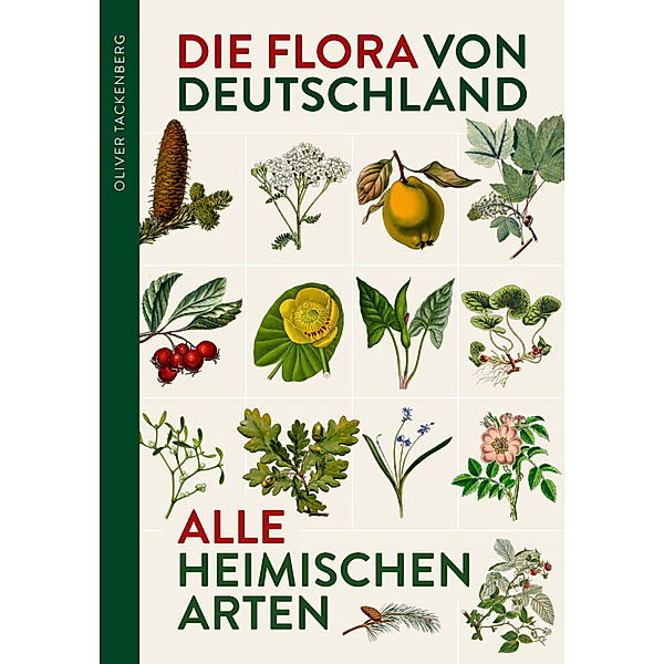 Die Flora von Deutschland. Alle heimischen Arten., Oliver Tackenberg