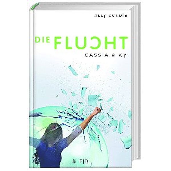 Die Flucht / Cassia & Ky Bd.2, Ally Condie