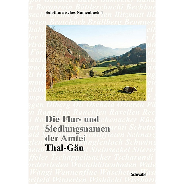 Die Flur- und Siedlungsnamen der Amtei / Orts- und Flurnamenbuch der Nordwestschweiz Bd.4