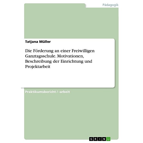 Die Förderung an einer Freiwilligen Ganztagsschule. Motivationen, Beschreibung der Einrichtung und Projektarbeit, Tatjana Müller