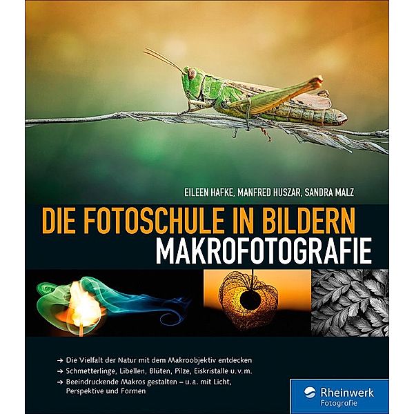 Die Fotoschule in Bildern. Makrofotografie / Rheinwerk Fotografie, Eileen Hafke, Manfred Huszar, Sandra Malz