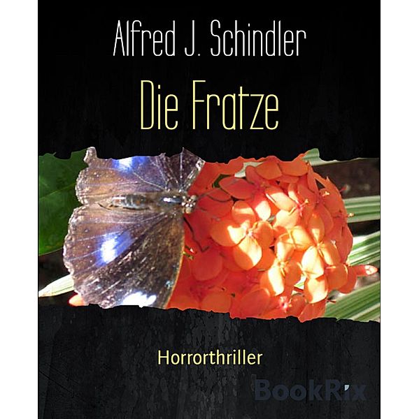 Die Fratze, Alfred J. Schindler