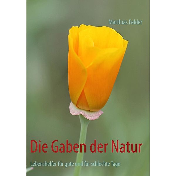 Die Gaben der Natur, Matthias Felder