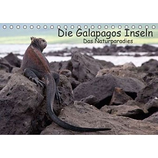 Die Galapagos Inseln - Das Naturparadies (Tischkalender 2016 DIN A5 quer), Neetze