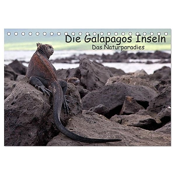 Die Galapagos Inseln - Das Naturparadies (Tischkalender 2024 DIN A5 quer), CALVENDO Monatskalender, Akrema-Photography, Neetze