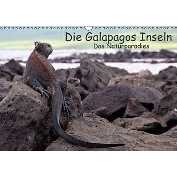 Die Galapagos Inseln - Das Naturparadies (Wandkalender 2016 DIN A3 quer), Akrema-Photography, Neetze