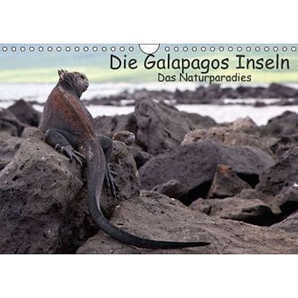 Die Galapagos Inseln - Das Naturparadies (Wandkalender 2016 DIN A4 quer), Akrema-Photography, Neetze