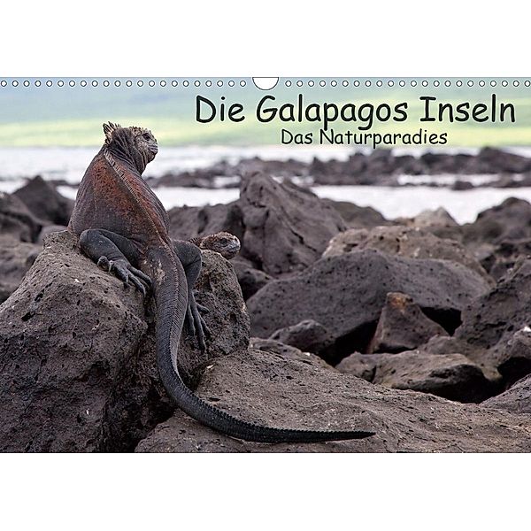Die Galapagos Inseln - Das Naturparadies (Wandkalender 2021 DIN A3 quer), Akrema-Photography, Neetze