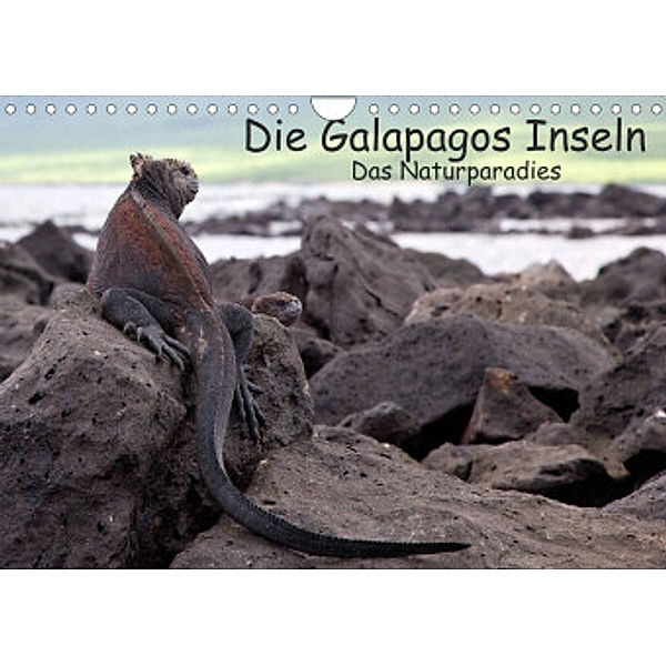 Die Galapagos Inseln - Das Naturparadies (Wandkalender 2022 DIN A4 quer), Neetze, Akrema-Photography