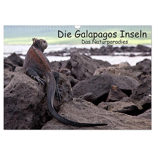 Die Galapagos Inseln - Das Naturparadies (Wandkalender 2024 DIN A3 quer), CALVENDO Monatskalender, Akrema-Photography, Neetze