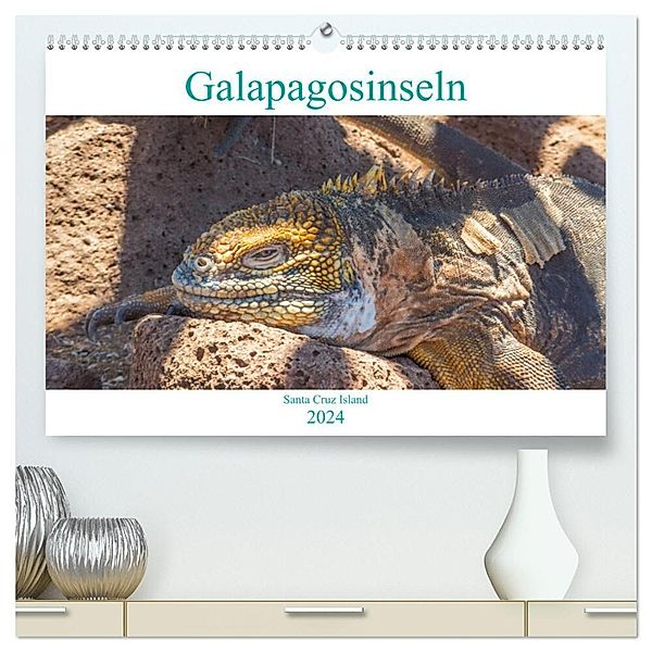 Die Galapagosinseln - Santa Cruz Island (hochwertiger Premium Wandkalender 2024 DIN A2 quer), Kunstdruck in Hochglanz, pixs:sell