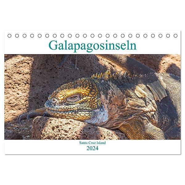 Die Galapagosinseln - Santa Cruz Island (Tischkalender 2024 DIN A5 quer), CALVENDO Monatskalender, pixs:sell