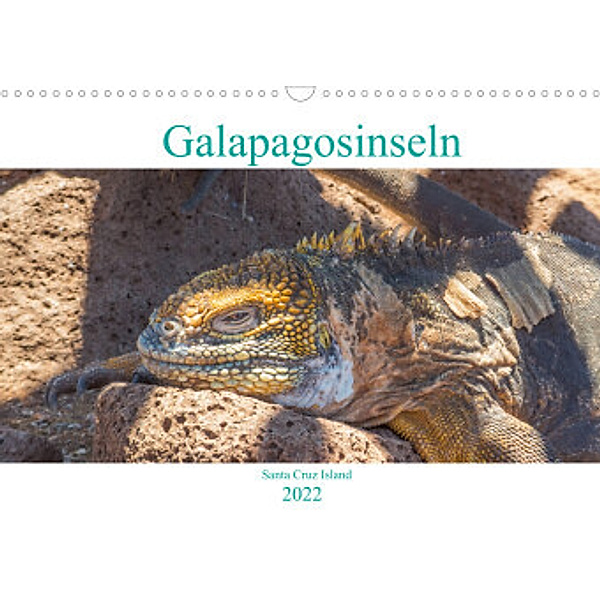 Die Galapagosinseln - Santa Cruz Island (Wandkalender 2022 DIN A3 quer), pixs:sell