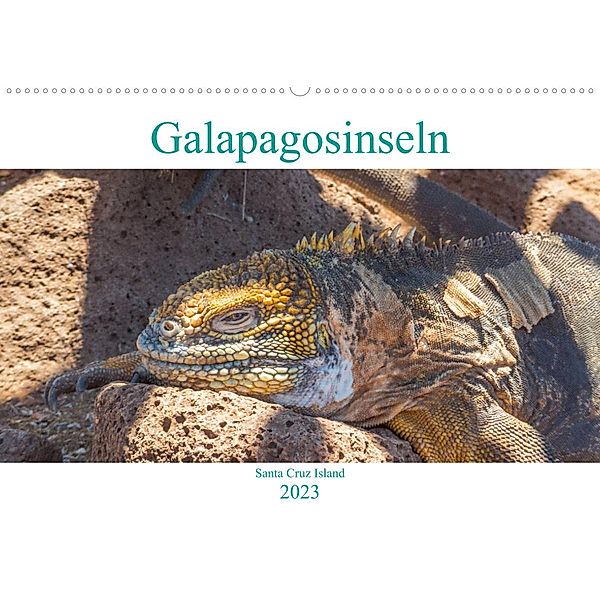 Die Galapagosinseln - Santa Cruz Island (Wandkalender 2023 DIN A2 quer), pixs:sell
