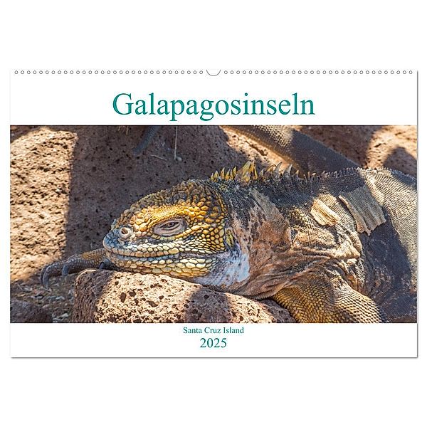 Die Galapagosinseln - Santa Cruz Island (Wandkalender 2025 DIN A2 quer), CALVENDO Monatskalender, Calvendo, pixs:sell