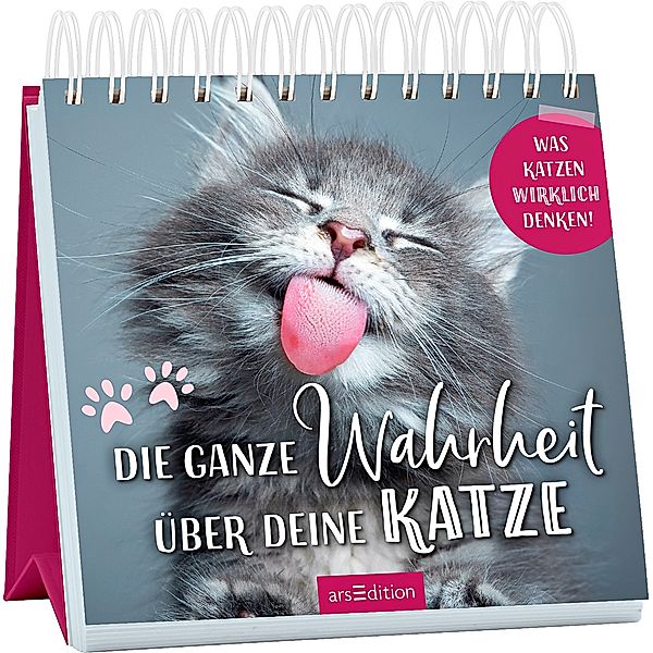 Die ganze Wahrheit über deine Katze