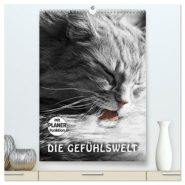 DIE GEFÜHLSWELT (hochwertiger Premium Wandkalender 2024 DIN A2 hoch), Kunstdruck in Hochglanz, Viktor Gross