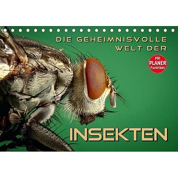 Die geheimnisvolle Welt der Insekten (Tischkalender 2017 DIN A5 quer), Renate Bleicher