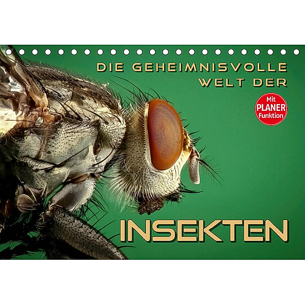 Die geheimnisvolle Welt der Insekten (Tischkalender 2019 DIN A5 quer), Renate Bleicher