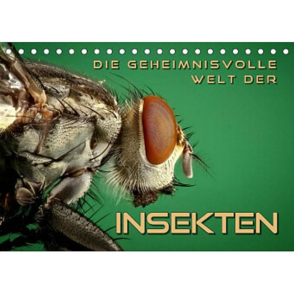 Die geheimnisvolle Welt der Insekten (Tischkalender 2022 DIN A5 quer), Renate Bleicher